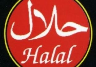 انتشار کتاب راهنمای حلال، ویژه گردشگران مسلمان در کره جنوبی